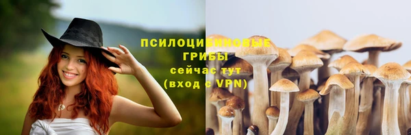мдпв Балабаново