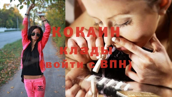 прущие грибы Богородицк