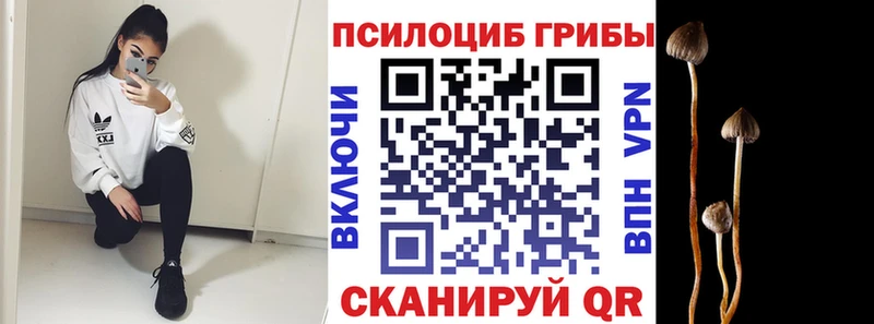 мориарти как зайти  Невель  Псилоцибиновые грибы Cubensis 